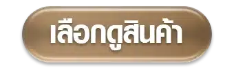 เลือกดูสินค้า